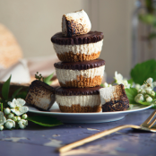 Mini S'more Cheesecake