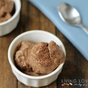 Frozen Chocolate Custard (Low Carb and Paleo Friendly)