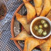 Green Chili Chicken Won Tons