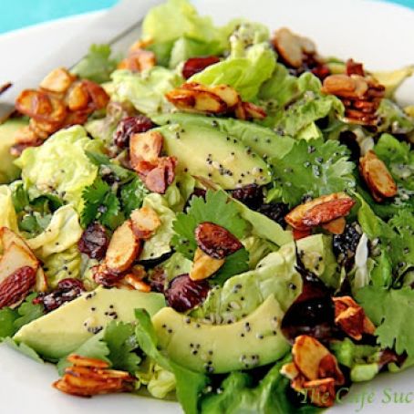 Cranberry-Avocado Salad with Candied Spiced Almonds and Sweet White Balsamic Vinaigrette