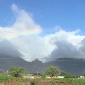 Olive Garden Salad Dressing