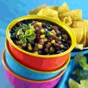 Watermelon Cilantro Salsa Tropical