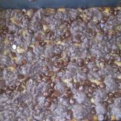 Peanut Butter Chocolate Chip Bars