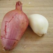 TURNIPS****Roasted Turnips, Shallots, and Garlic