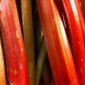 Rhubarb Protein Smoothie P 2