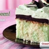 Grasshopper Fudge Cake