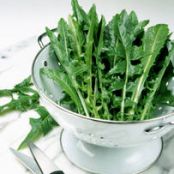 Dandelion Greens