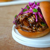 SLOW COOKER BALSAMIC HONEY PULLED PORK