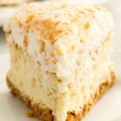 Toasted Coconut Cheesecake