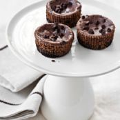 Mini Chocolate-Hazelnut Cheesecakes