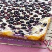 Coconut-Blueberry Cheesecake Bars