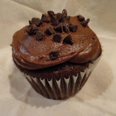 Mocha Chocolate Chip Cupcakes with Chocolate Sour Cream Frosting