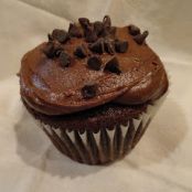 Mocha Chocolate Chip Cupcakes with Chocolate Sour Cream Frosting