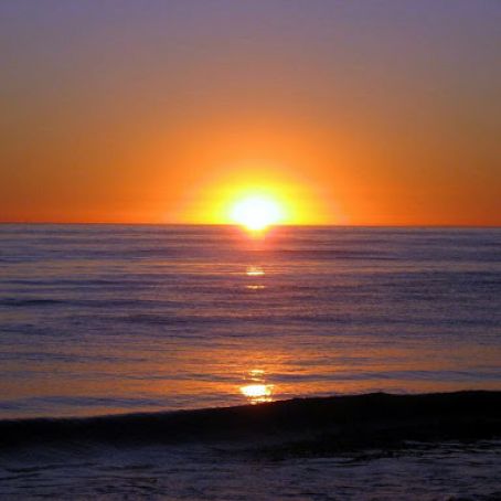 Grilled Tomatoes with Bruschetta