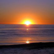 Grilled Tomatoes with Bruschetta