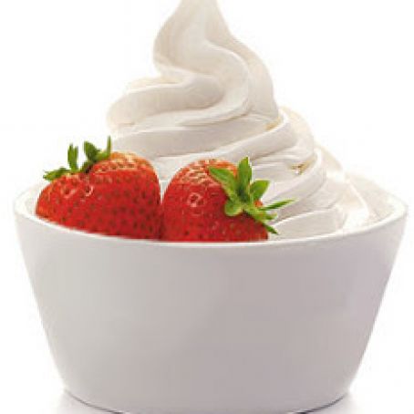 Creamy Vanilla Frozen Yogurt
