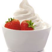 Creamy Vanilla Frozen Yogurt