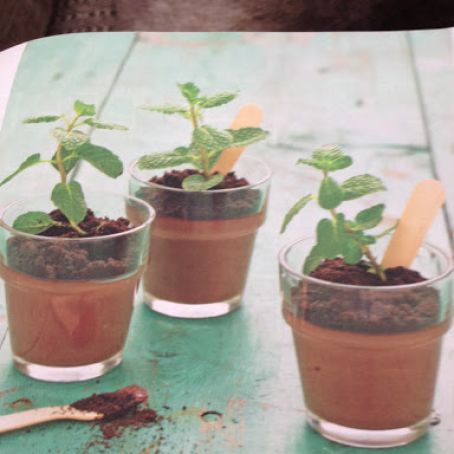 Potted Chocolate Mint Puddings