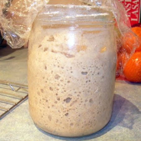 Sourdough Bread STARTER