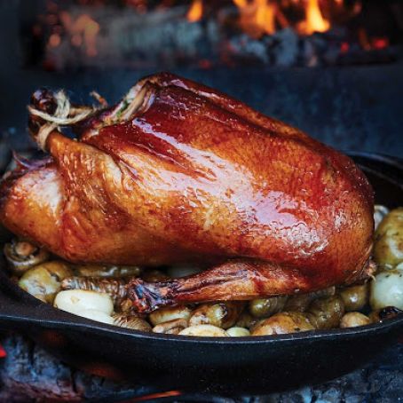 Fire-Roasted Duck & Pheasant with Red Currant Jelly