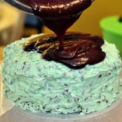 Chocolate Cake with Mint Chocolate Chip Frosting