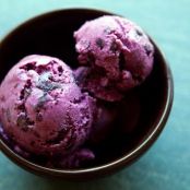 Blueberry Frozen Yogurt Recipe