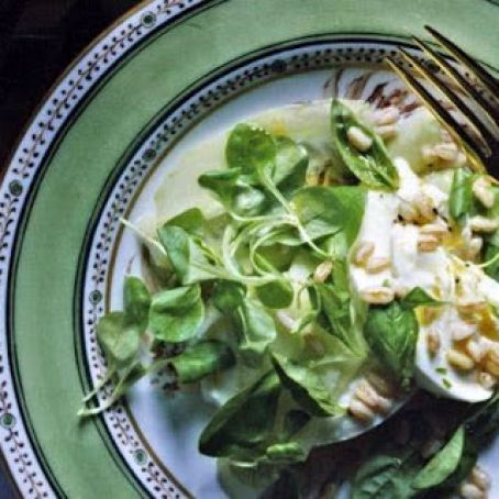 CUCUMBER, BUFFALO MOZZ & FARRO SALAD