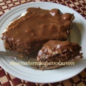 Mississippi Mud Cake