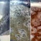 1) Tip -brown the butter in Cookies