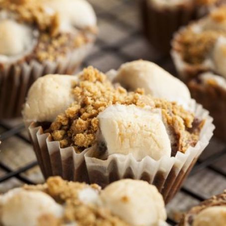 Smores Mini Cheesecakes
