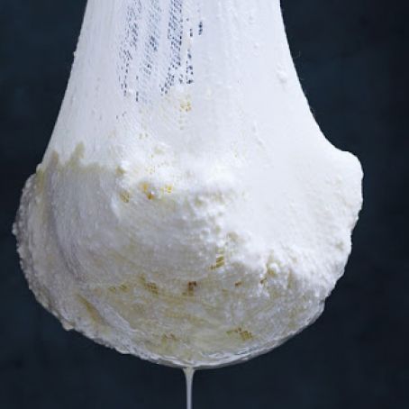 Fresh Ricotta