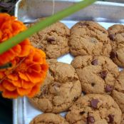 Pillow soft vegan chocolate chip cookies