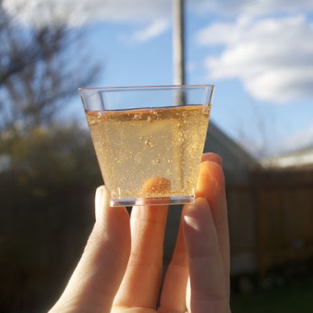 Sparkling Bellini Jello Shots