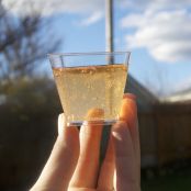 Sparkling Bellini Jello Shots