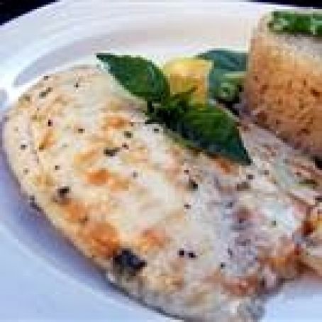 Broiled Tilapia Parmesan