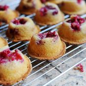 Individual Raspberry Cobblers