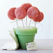 Iced Pink-Lemonade Cookie Pops