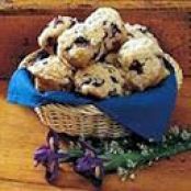 Blueberry Streusel Muffins