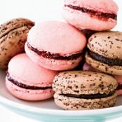 F&W Raspberry Macarons