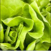 Jacques Pépin's Boston Lettuce Salad with Cream Dressing
