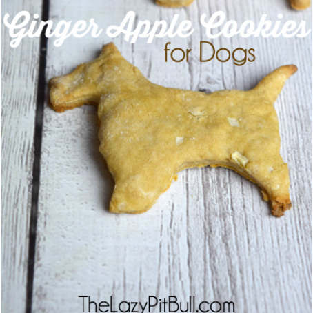 GINGER APPLE COOKIES FOR DOGS