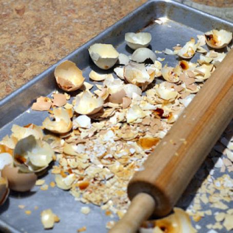 Egg Shells for Blue Jays