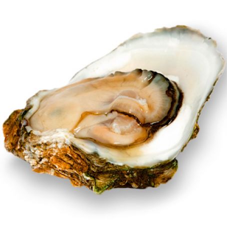 Bob Carter's Brown Oyster Stew