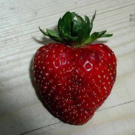 How To Keep Strawberries (or any berries) Fresh