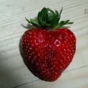 How To Keep Strawberries (or any berries) Fresh