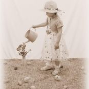 Dolly's New York Chicken Barbeque