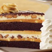 Peanut Butter Cup Ripple Cheesecake