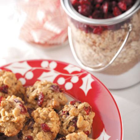 Oatmeal Cranberry Cookie Mix Recipe