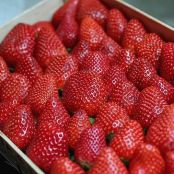 Strawberry Frozen Yogurt Recipe