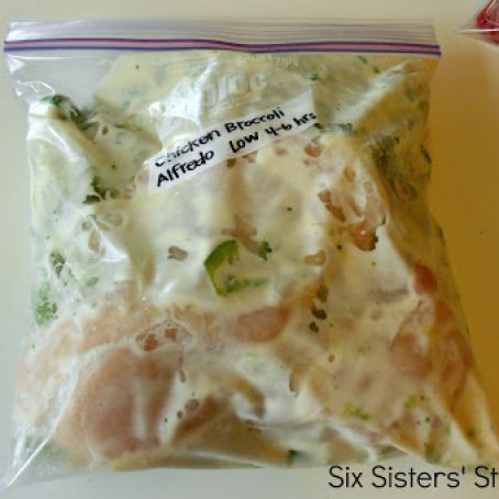 Chicken Broccoli Alfredo